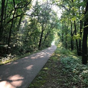 Meet your Posher, Marlie